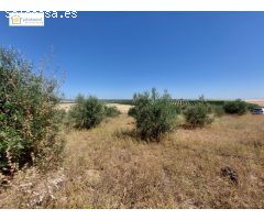 venta de finca rustica
