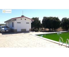Finca rustica en La Algaba.