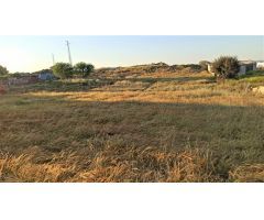 Terreno  en Gerena, Sevilla con 2.515 m2
