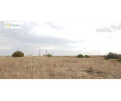 Finca rústica de 5 hectáreas en Guillena Sevilla, con luz y agua a pie de parcela