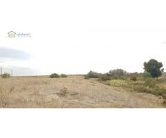 Finca rústica de 5 hectáreas en Guillena Sevilla, con luz y agua a pie de parcela
