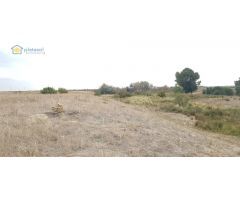 Finca rústica de 5 hectáreas en Guillena Sevilla, con luz y agua a pie de parcela