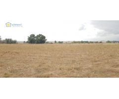 Finca rústica de 5 hectáreas en Guillena Sevilla, con luz y agua a pie de parcela