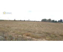 Finca rústica de 5 hectáreas en Guillena Sevilla, con luz y agua a pie de parcela