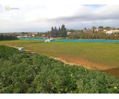 Magnifica Finca Rustica en Sanlucar La Mayor con construcciones