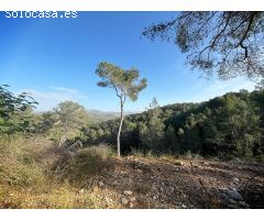 PARCELA EN VENTA SANT PERE DE RIBES