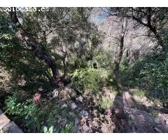 Terreno en Venta en Valles Altos, Sant Pere de Ribes