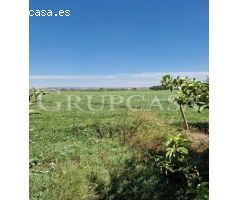 BONITA CASA DE CAMPO CON UNA HECTAREA DE TERRENO EN ALBATARREC
