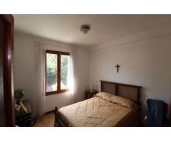 Explotación de finca de naranjos con vivienda de 120 m2
