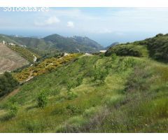 Parcela de 11000 m² en Rio de la Miel (Nerja)
