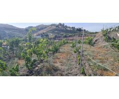 Villa con increíbles vistas con cortijo y terreno