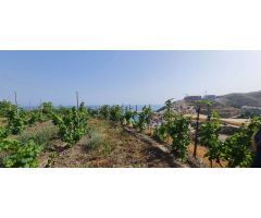 Villa con increíbles vistas con cortijo y terreno