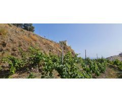 Villa con increíbles vistas con cortijo y terreno