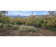 Oportunidad única: Cortijo tradicional con terreno y piscina en Nerja