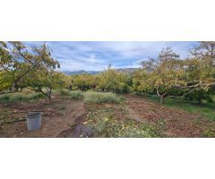 Oportunidad única: Cortijo tradicional con terreno y piscina en Nerja