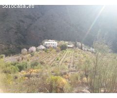 Cortijo y varias ruinas en fincas rústicas de 276.000 m²