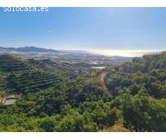 Finca rústica en producción de 5000 m² (10 marjales) en Motril