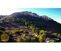 SE VENDE FINCA RUSTICA EN FINESTRAT PARA REFORMAR DE 6 DORMITORIOS