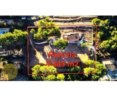 SE VENDE FINCA RUSTICA EN FINESTRAT PARA REFORMAR DE 6 DORMITORIOS