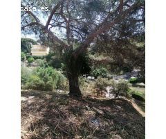 Venta Terreno en Can Massuet -  Dosrius