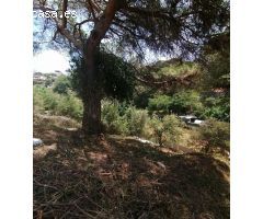 Venta Terreno en Can Massuet -  Dosrius