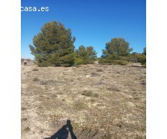 CARIHUELA SOL ALQUILA TERRENO RUSTICO EN OCAÑA