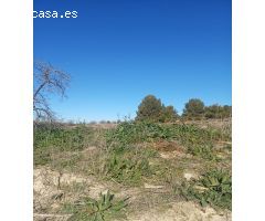 CARIHUELA SOL ALQUILA TERRENO RUSTICO EN OCAÑA