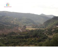 Se Vende Finca Rústica en Gaucín