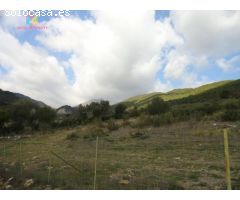 Se Vende Finca Rústica en Gaucín