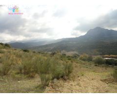 Se Vende Finca Rústica en Gaucín