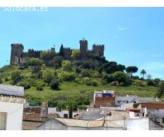 CASA CON LICENCIA RURAL EN ALMODOVAR   ( CORDOBA )