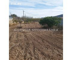 Gran parcela urbanizable en Chulilla