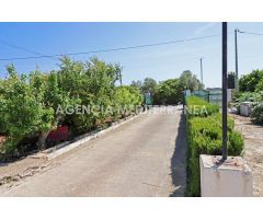 Amplia Finca soleada todo el año en Denia