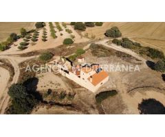 FINCA RÚSTICA EN ALMANSA, DE 100 HECTÁREAS CON CASA UNIFAMILIAR EN PERFECTO ESTADO.