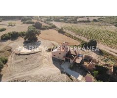 FINCA RÚSTICA EN ALMANSA, DE 100 HECTÁREAS CON CASA UNIFAMILIAR EN PERFECTO ESTADO.