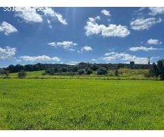 GRAN FINCA RUSTICA CON CASA TIPICA MALLORQUINA, CON LUZ Y AGUA