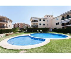 Oasis de tranquilidad en Sa Torre: Planta baja con terraza y jardín