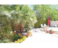 Inmueble singular en Venta en Monovar - Monover, Alicante