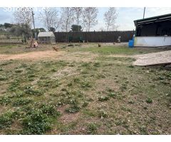 HUERTO A LA VENTA EN EL GRAU, MANRESA