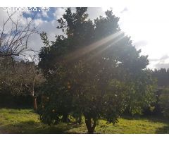 Venta de chalet en A Coruña, Calle Bandebo Brexo-Lema-Cambre