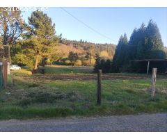 TERRENO EDIFICABLE EN VENTA EN SIGUEIRO
