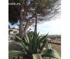 CHALET EN VENTA SITUADO ENTRE LA ALDEA Y TORTOSA