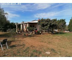 FINCA RUSTICA EN GODALL CON CASA, AGUA I LUZ