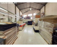 NAVE INDUSTRIAL 485 M2 POLIGONO CARRUS CON ALTILLO