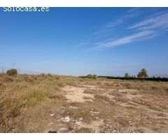PARCELA 8307 M2 - LA MARINA - IDEAL MOBIL HOME -DISTACIA A LA PLAYA 3.500 METROS ¡INFORMATE!