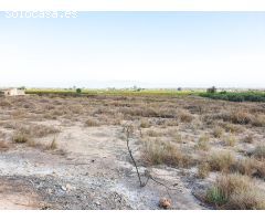 PARCELA 8435 M2 - LA MARINA - IDEAL MOBIL HOME -DISTANCIA A LA PLAYA 4.000 METROS ¡INFORMATE!