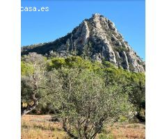 Idílica finca con caravana a estrenar, en la mejor zona de Llucmajor.