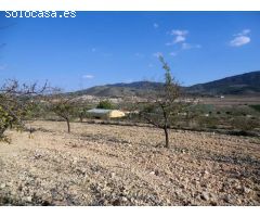 Terreno rural en Venta en Hondón de las Nieves, Alicante