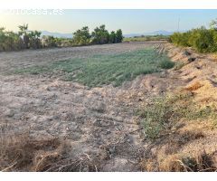 Terreno rural en Venta en Elche pedanias, Alicante