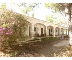 Piso en Venta en Alcanar, Tarragona